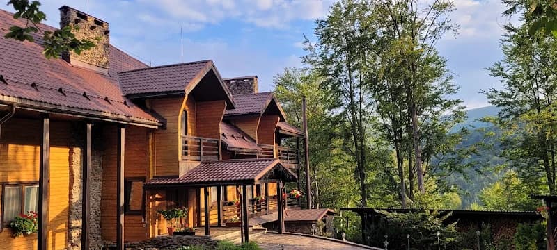 Поляна птахів