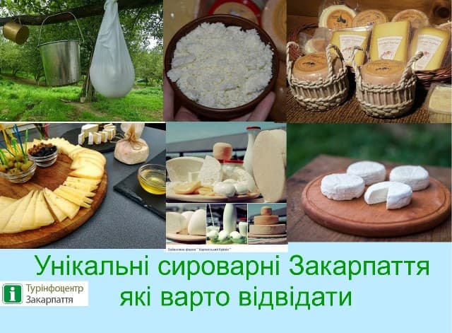 Закарпаття: унікальні сироварні, які варто відвідати