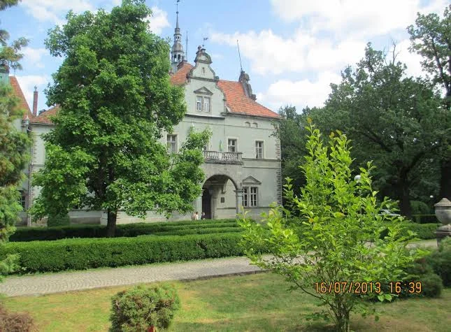 Закарпатський оазис