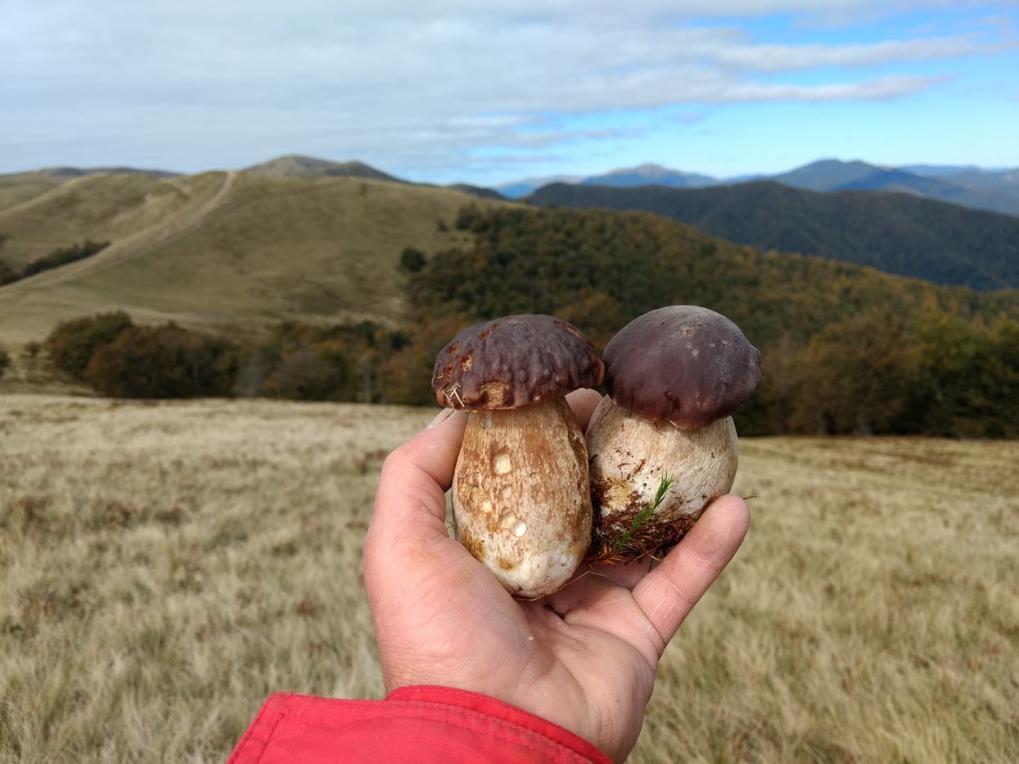 Сільська садиба Спокуса Карпат, село Усть Чорна