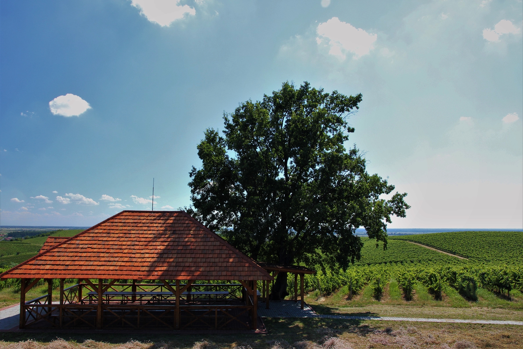 Туристичні продукти Chateau Chizay