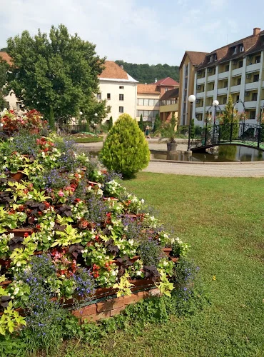 Villa Svalyava