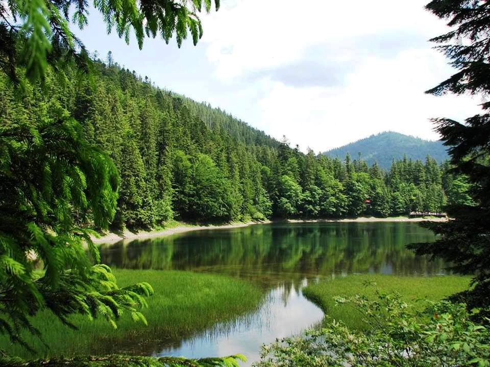 Поїзд Прага – Київ: графік руху, вартість квитка