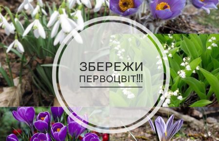 Щорічно за лютий-березень в Україні знищується до 20 млн. первоцвітів, (ранньовесняних рослин) занесених до Червоної книги і їх кількість у природі щороку зменшується.