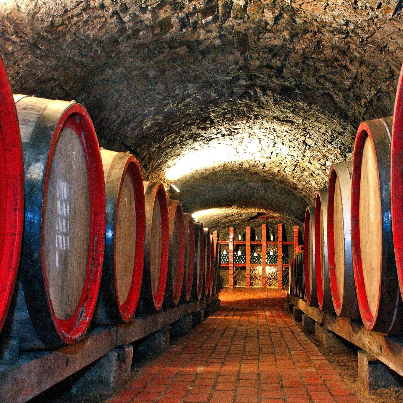 Дегустація вина – Берегово Старий підвал