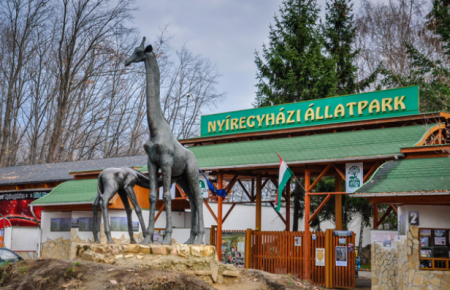 Планируя путешествие из Украины в Европу через Венгрию, обратите внимание на город Ниредьхаза и уникальный зоопарк "Nyíregyházi Állatpark", который в нем расположен.