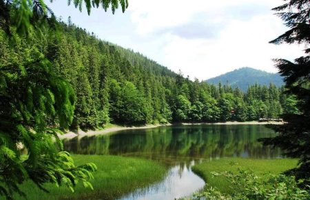 Відпочинок в Міжгірському районі Закарпаття цікавий в будь яку пору, а одне з найпопуляних місць, яке обирають для відпочинку в Карпатах, звісно озеро Синевир.