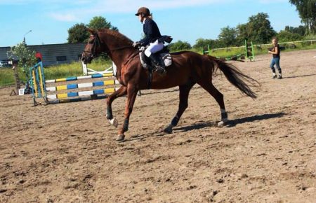 Верхова їзда, любов до коней, фізична активність, задоволення та нові враження для тих, хто вперше хоче сісти на коней, чи вже має досвід від катання - Школа верхової їзди в Ужгороді Lacky Horse.