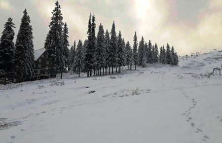 Драгобрат засипало снігом і в Україні засяяла перша найвисокогірніша різдвяна ялинка, а зимовий відпочинок в Закарпатті на Драгобраті.