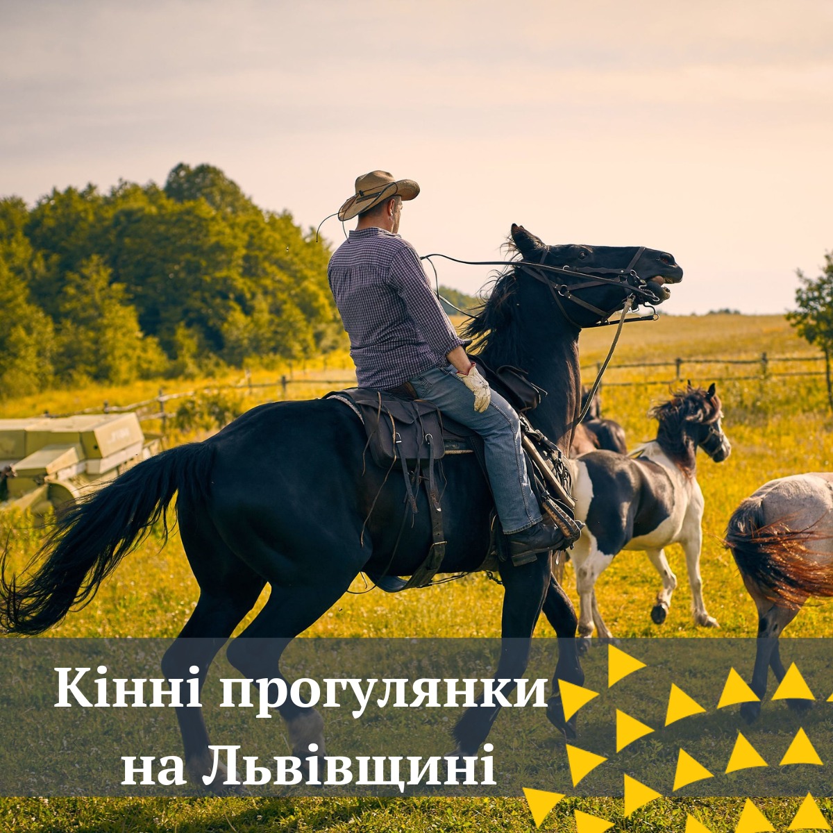 Прогулянки на конях неподалік Львова — це хороша терапія та відпочинок, адже під час їзди на конях, в роботу включаються всі м