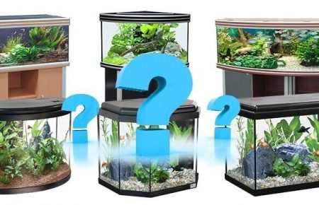 Как выбрать аквариум? Выбор емкости для рыбок – непростая задача. Ведь аквариум – и дом для водных обитателей, и часть интерьера.