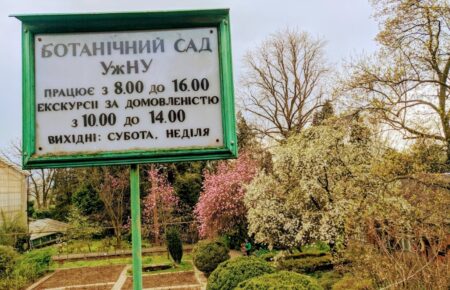 Ботанічний сад в Ужгороді - природна родзинка в серці міста, тематичний природній парк з унікальними та екзотичними рослинами.