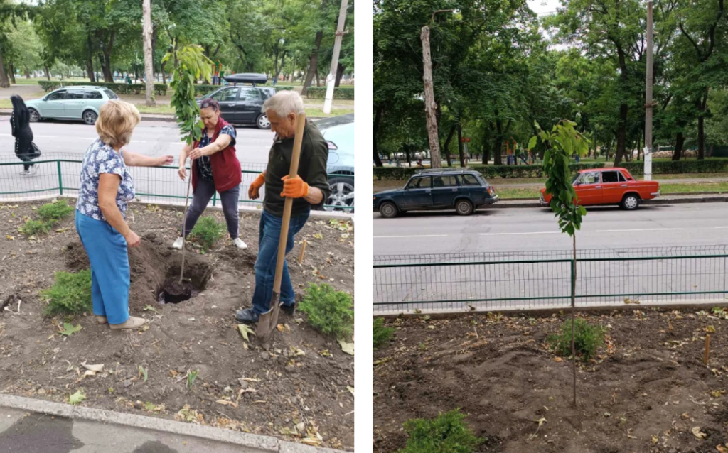 сакура Закарпаття