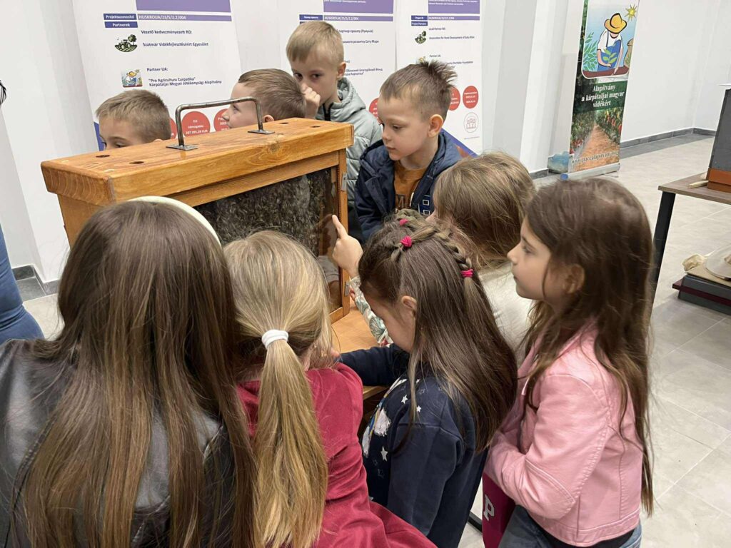 Про агрікарпатіка