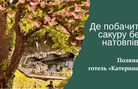 Сакури в Поляні ще квітнуть: де побачити цвіт без натовпів. Відпочинок у готелі «Катерина», мінеральні води, тиша і весняна атмосфера Закарпаття.